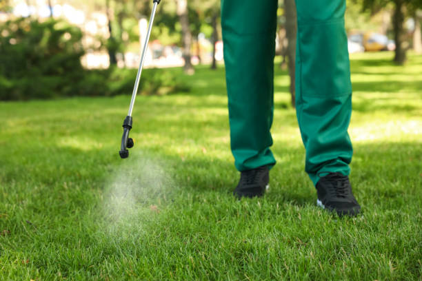 Best Best Pest Control Companies  in Rinna, VA