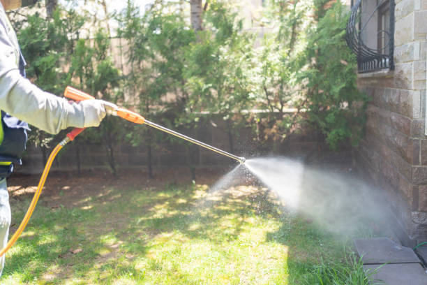 Best Pest Prevention Services  in Rinna, VA