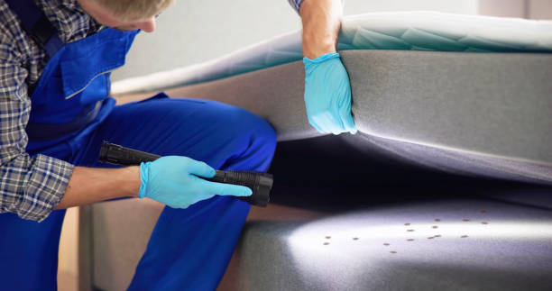 Best Termite Control Services  in Rinna, VA