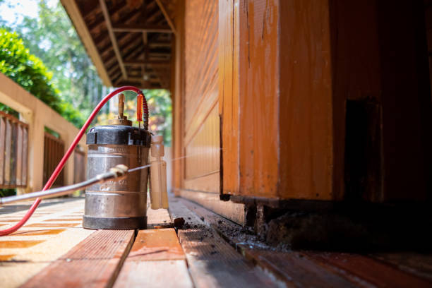 Best Affordable Pest Control Services  in Rinna, VA
