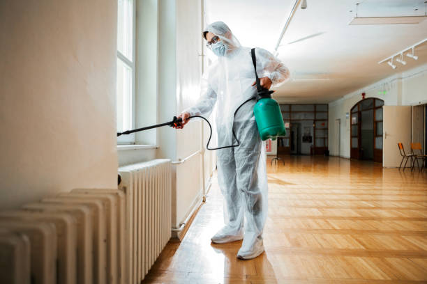 Best Wasp Removal Services  in Rinna, VA